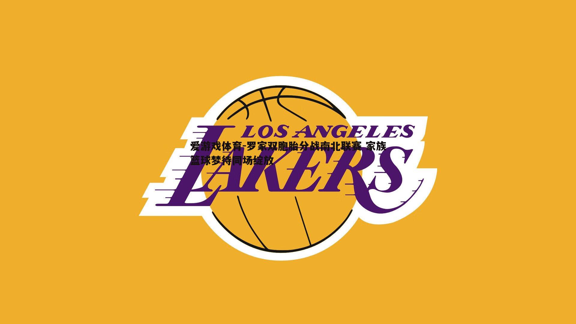 爱游戏体育-罗家双胞胎分战南北联赛 家族篮球梦待同场绽放